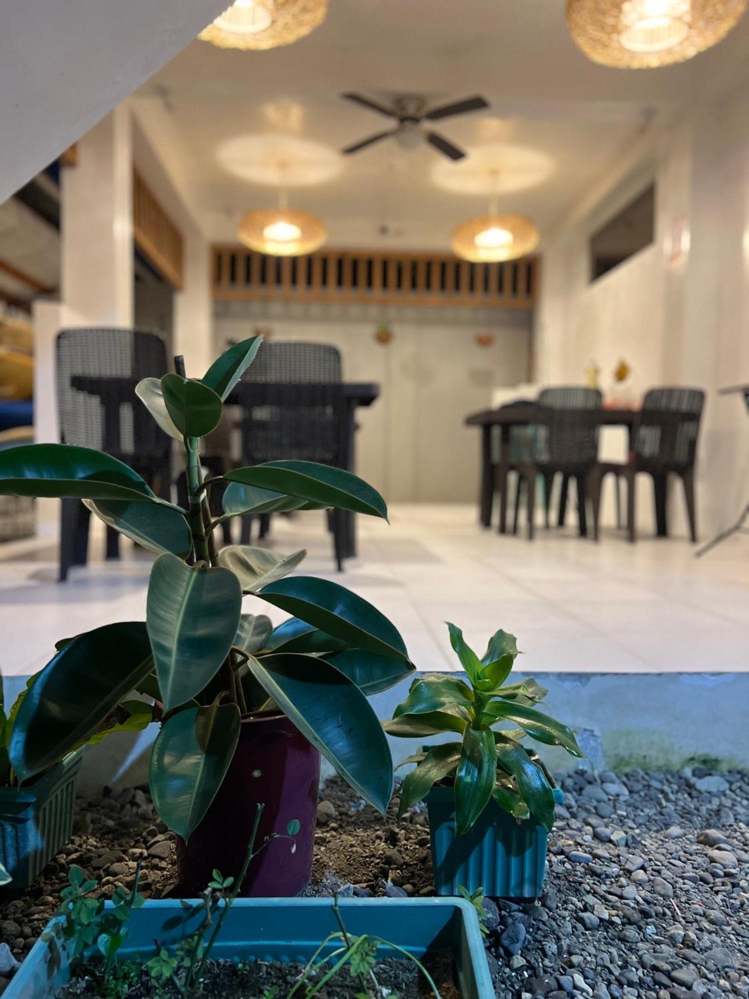 ホテル Sunny Terrace バレル エクステリア 写真